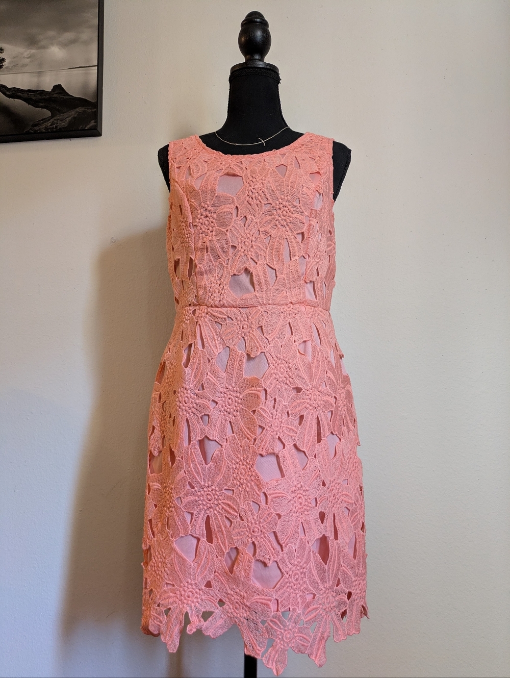 Soiéblu Peach Floral Lace Sleeveless Mini Dress - Size Large